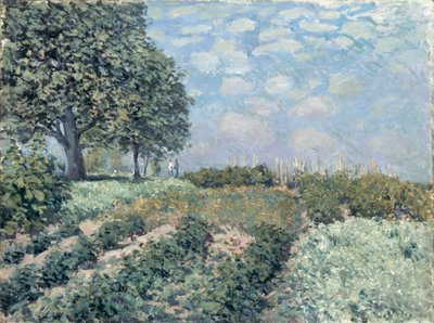 The Market Gardens de Alfred Sisley