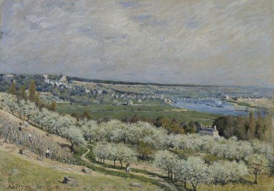 The Terrace at Saint-Germain, Spring de Alfred Sisley