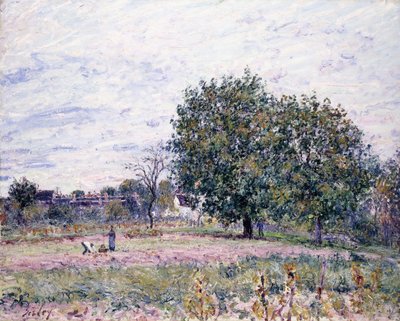 Nozes, Efeito do Sol Poente - Primeiro Dia de Outubro de 1882 de Alfred Sisley