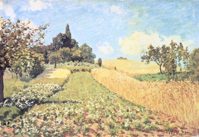 Campo de Trigo (óleo sobre tela) de Alfred Sisley