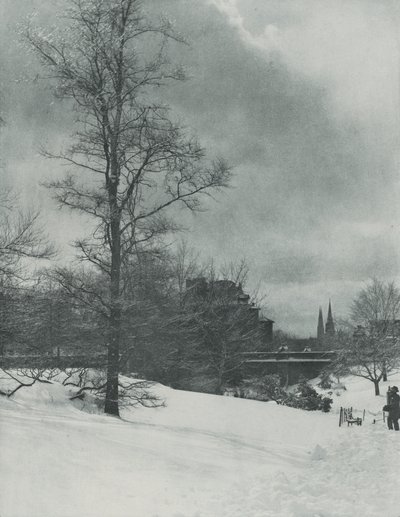 Um céu de inverno — Central Park de Alfred Stieglitz