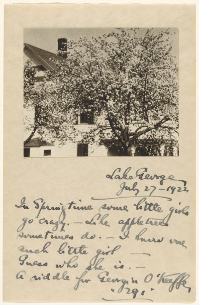 [Flores de macieira]. de Alfred Stieglitz