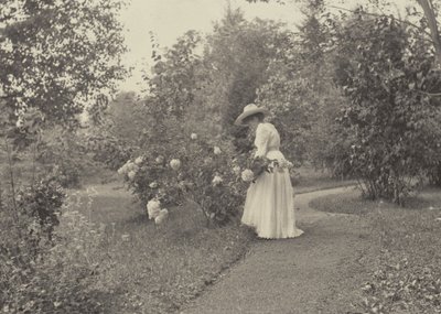 Em Oaklawn de Alfred Stieglitz