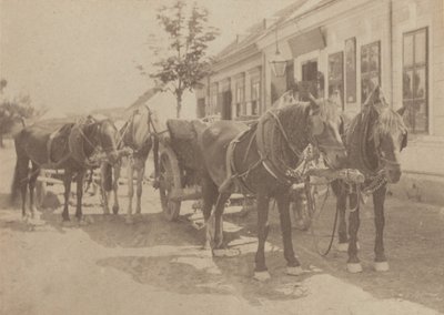 Em frente à taberna de Alfred Stieglitz
