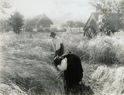 De manhã cedo de Alfred Stieglitz