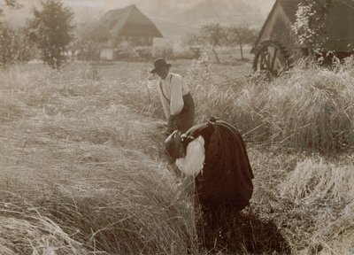 De manhã cedo de Alfred Stieglitz