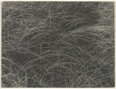 Equivalente de Alfred Stieglitz