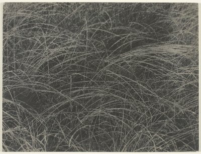 Equivalente, 1927. de Alfred Stieglitz