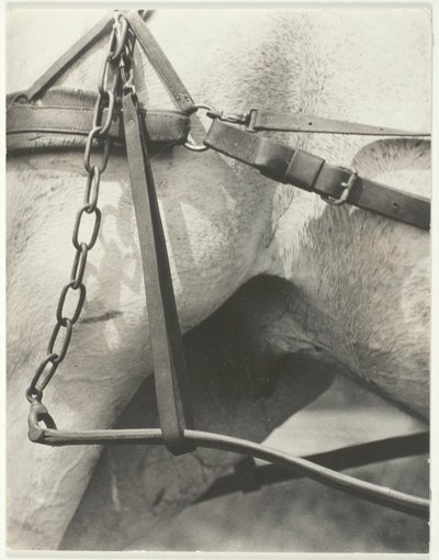 Equivalente, América Espiritual de Alfred Stieglitz