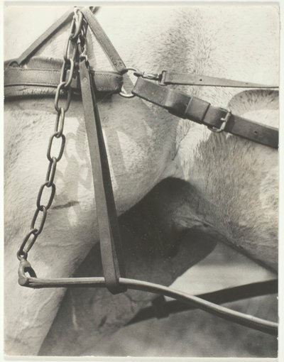 Equivalente, América Espiritual, 1923. de Alfred Stieglitz