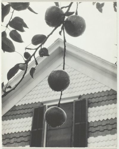 Gable e maçãs, 1922. de Alfred Stieglitz