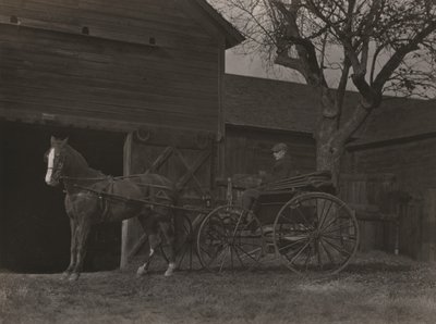 Cavalo e carruagem de Alfred Stieglitz