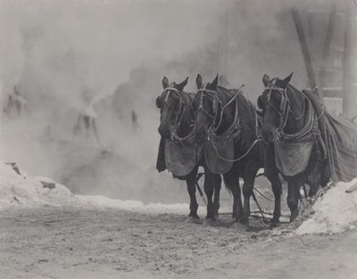 Cavalos, Nova Iorque de Alfred Stieglitz