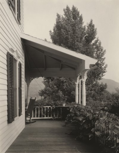 Casa, Folhas e Árvore de Alfred Stieglitz
