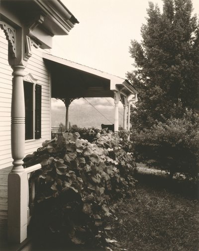Casa e folhas de uva, 1934. de Alfred Stieglitz