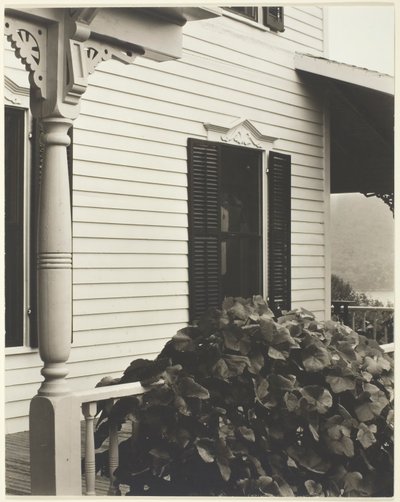 Casa e folhas de uva, 1934. de Alfred Stieglitz