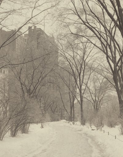 No parque de Alfred Stieglitz