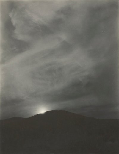 Floresta. de Alfred Stieglitz