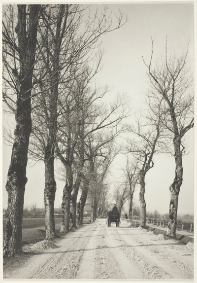 Dias de novembro de Alfred Stieglitz