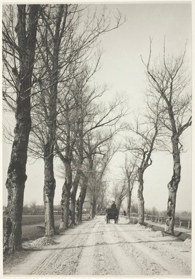 Dias de novembro de 1887, impresso em 192039. de Alfred Stieglitz