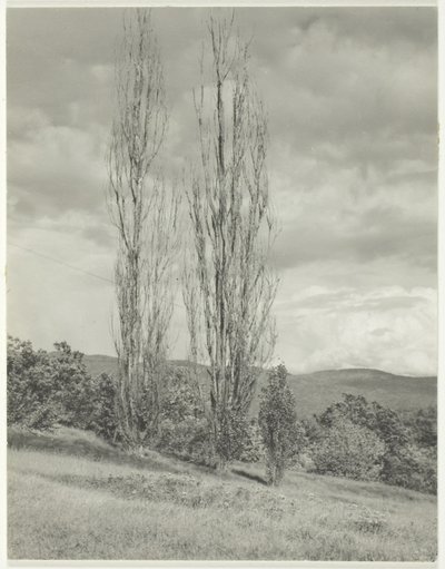 Álamo de Álamo Lago George de Alfred Stieglitz