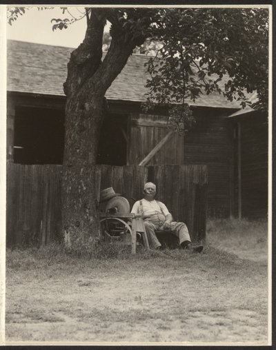 Richard, Lake George de Alfred Stieglitz