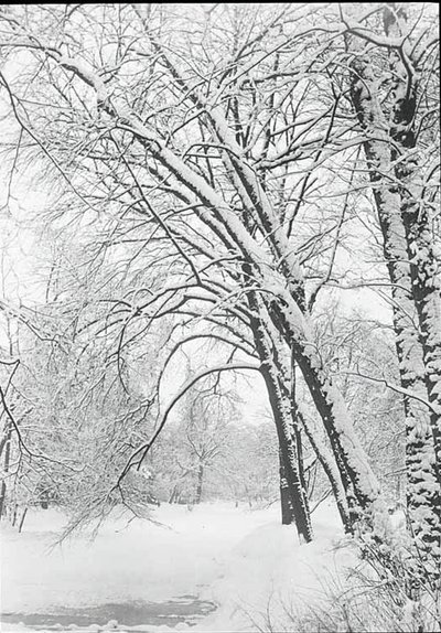 Snowscape, Berlim, 188892. de Alfred Stieglitz