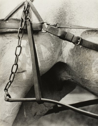 América Espiritual: Canções do Céu A1 de Alfred Stieglitz