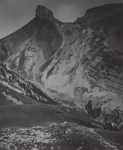  de Alfred Stieglitz