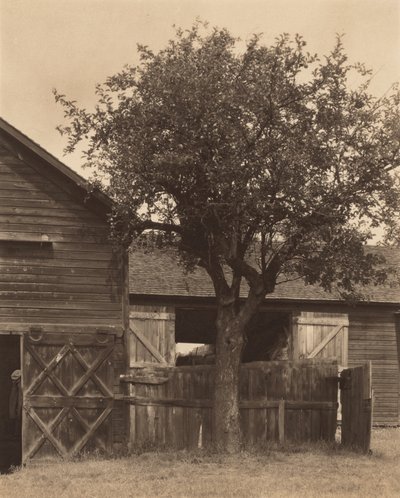 de Alfred Stieglitz