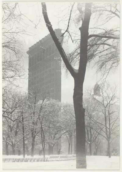 O ferro de passar de Alfred Stieglitz