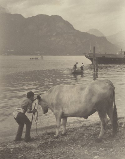 O Banho Relutante de Alfred Stieglitz