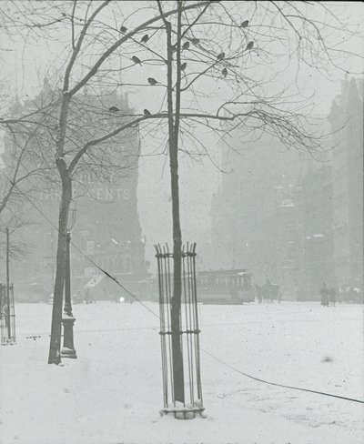 Árvore na neve, Nova York, 190002. de Alfred Stieglitz