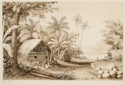 Túmulos na ilha de Muthuata, Fiji (wc no papel) de Alfred Thomas Agate