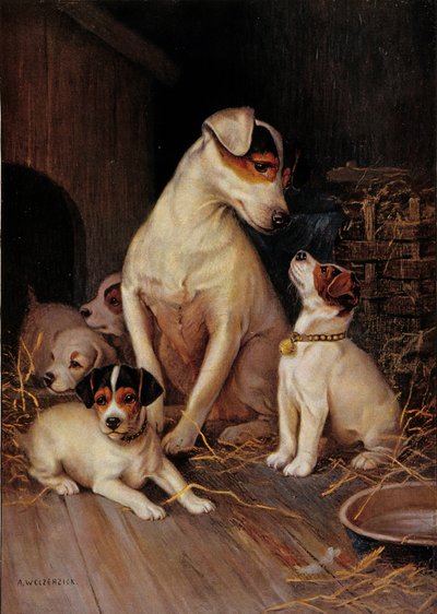 A menina e os seus cães (impressão) de Alfred Weczerzick