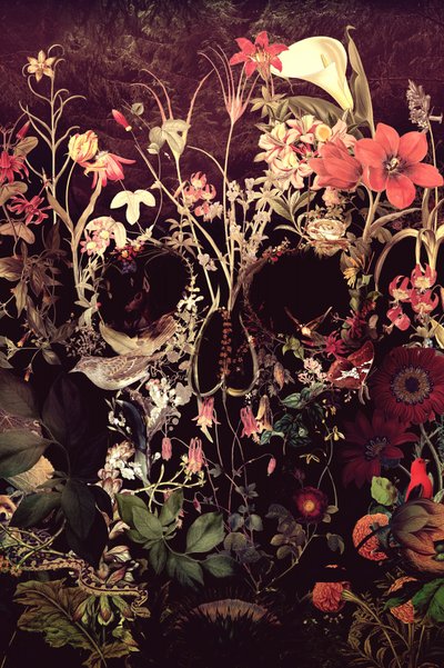 Crânio floral sombrio de Ali Gulec