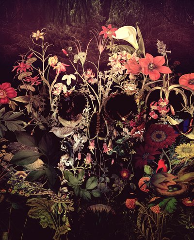 Crânio floral sombrio de Ali Gulec