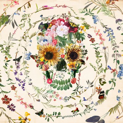 Crânio floral vibrante de Ali Gulec