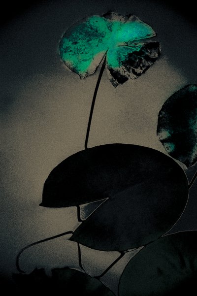 Smaragdfrühling, aus der Serie Frühling von Alice Gur-Arie