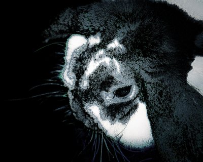 Jessicas Freund, 2022 von Alice Gur-Arie