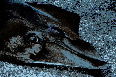 Mein Freund Ray, 2018 von Alice Gur-Arie