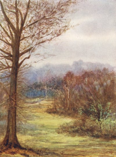 Nova Floresta: A Peep on the Brockenhurst Road, Early Spring (litografia a cores) de Alice Julia Argles