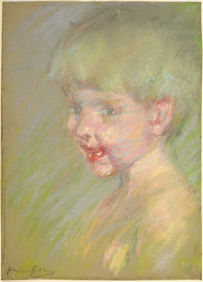 Raio de sol de Alice Pike Barney