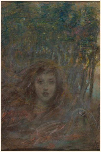 Visão através das madeiras de Alice Pike Barney