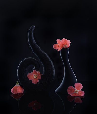  de Alice Sheng
