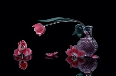  de Alice Sheng