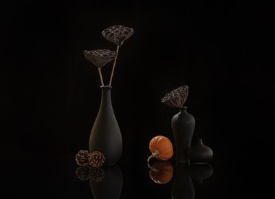  de Alice Sheng