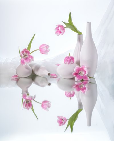  de Alice Sheng