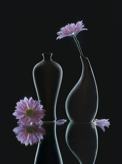  de Alice Sheng