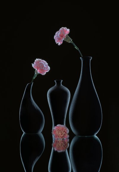  de Alice Sheng